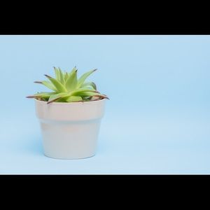 Meet your Posher, Hailey